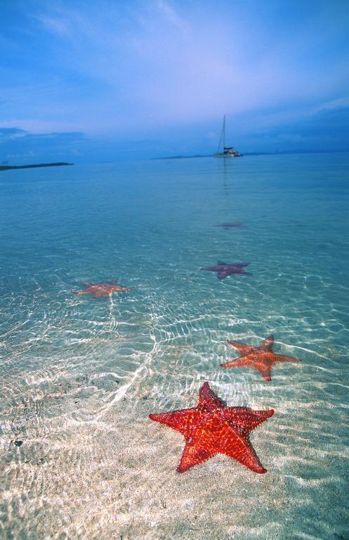 Punta Caracol Acqua