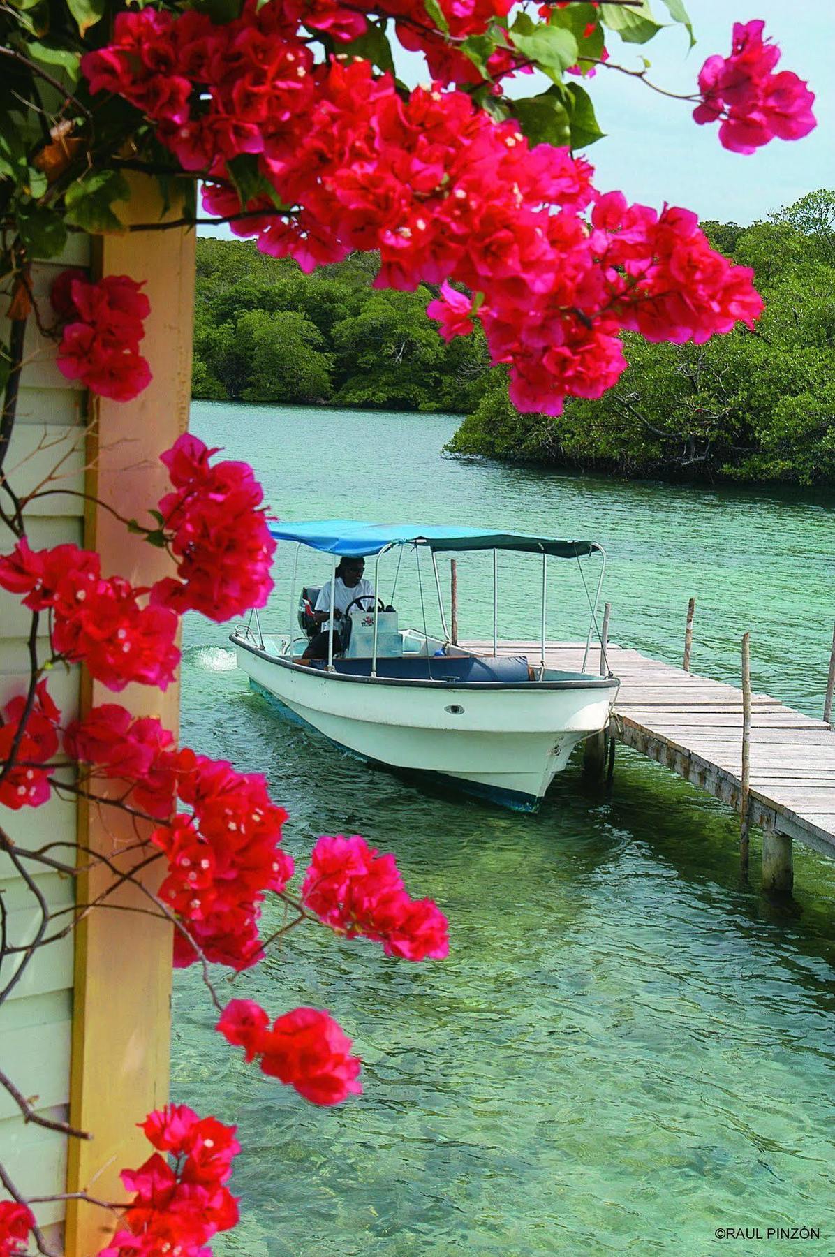 Punta Caracol Acqua 4*