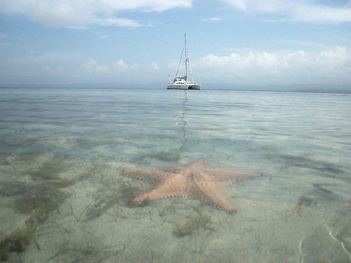 Punta Caracol Acqua Bocas del Toro